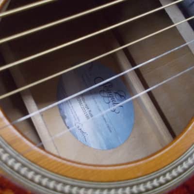 Seagull Entourage Rustic Dreadnought Acoustic Guitar Player!! image 16