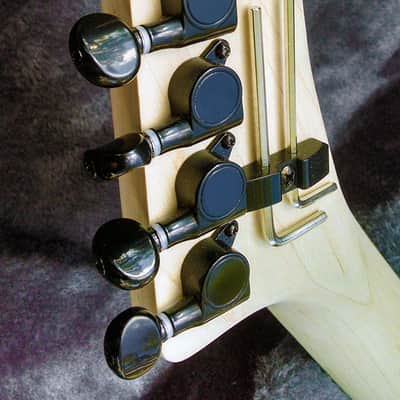 Hand carved Hembry Skull and Bones guitar for George Lynch mom, ESP, J Frog fans image 13