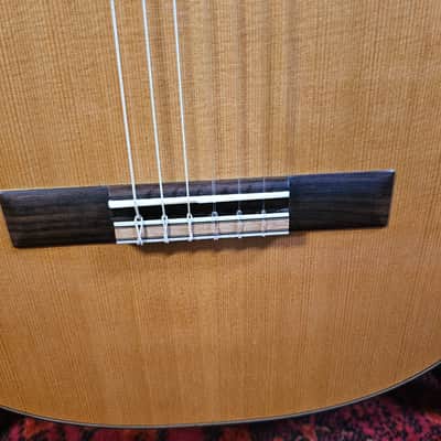 2022 David J. Pace Classical French Polish Cedar top image 6