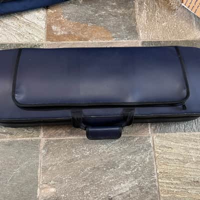 violin case. Full size image 5