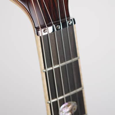 Alembic Darling Cocobolo Guitar image 10