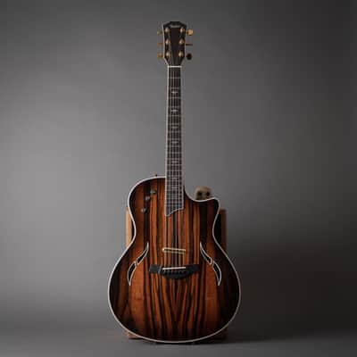 2007 Taylor T5-C2 Limited Macassar Ebony Top image 4