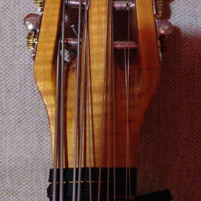 Liuto cantabile (mandocello 5 courses) image 8