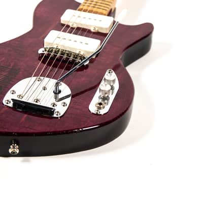Luppiro Custom Guitar Owned by Mike Campbell image 9