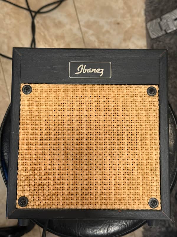Ibanez ACA15T 15-Watt Acoustic Guitar Amplifier 2011 - Dark Wood image 1