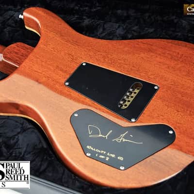 2010 PRS Wood Library DGT DGT 2010 - Copperhead 1 Piece Top image 21