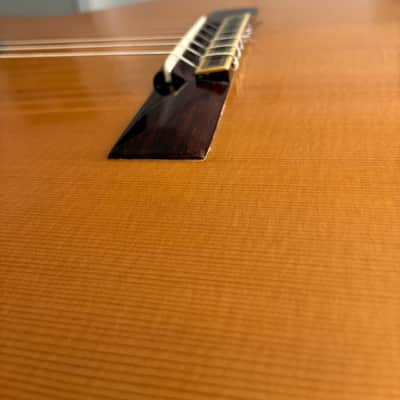 2007 Paulino Bernabe "Leonardo" S/AR Raised Fingerboard image 13