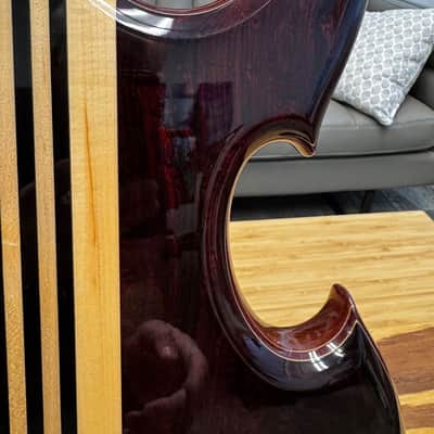 Alembic Series II - The Roman Conqueror 2004 - Cocobolo image 12
