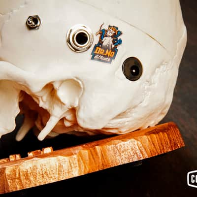 Dr. No SkullFuzz image 5
