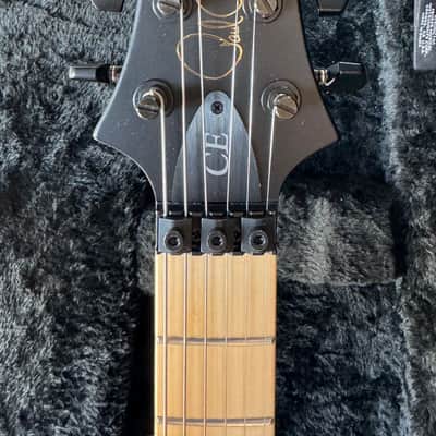 PRS Dustie Waring Signature CE 24 Floyd - Waring Burst image 4