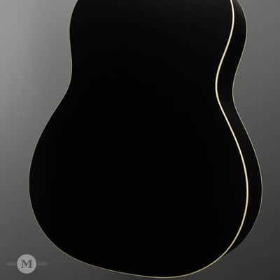 Iris Guitars - OG - All Black - Ivoroid Pickguard - Ivoroid Binding - Flower Pot image 5