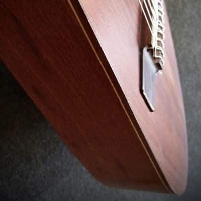 Dragonfly DF10-A (Acoustic/Electric Chapman Stick) image 12