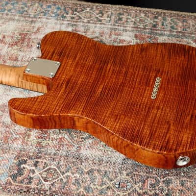 CP Thornton Classic II Thinline 20th Anniversary 2024 - Natural - Figured Olive Ash. NEW (Authorized Dealer) image 7