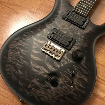 PRS USA Holcomb Custom 24 10-Top image 6