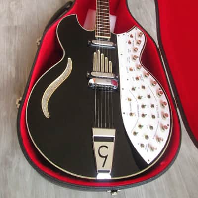 Godwin Organ Guitorgan 1976 black image 13