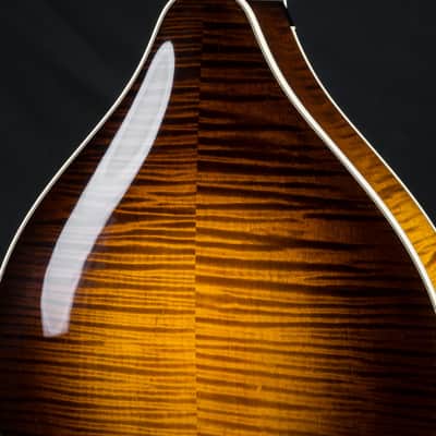 Collings MT2 Mandola Sunburst Adirondack Spruce and Flamed Maple NEW image 20
