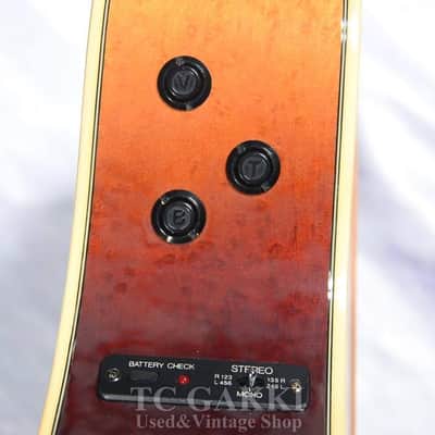 Yamaha Apx 15 Bm image 8