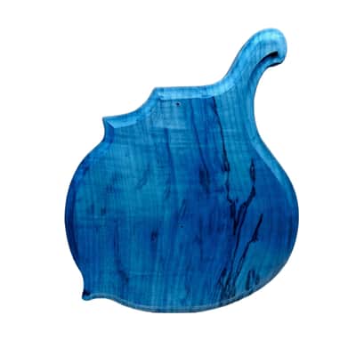 Licensed by Weymann® USA MADE Celestial BIZARRE Body Custom Shop Replacement Body Solid Body Electric image 4