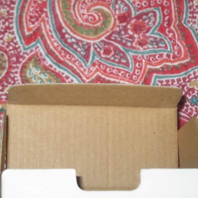 lightly handled (generally mostly very clean) Boss EMPTY BOX ONLY for FS-6 Dual Foot Switch (NO footswitch / NO paperwork) specifically from  2014 - but can be a home for a different year FS-6 footswitch (link for Manual in is description) image 25