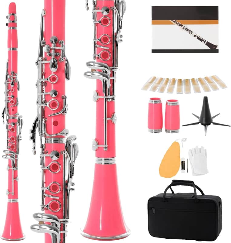 Flat Clarinet for Beginner, Ebonite Bb Clarinet with 2 Replaceable Barrels, 10 Reeds, Stand, Pocketbook, Mouthpiece, Hard Case, Gloves (Pink) Bild 1