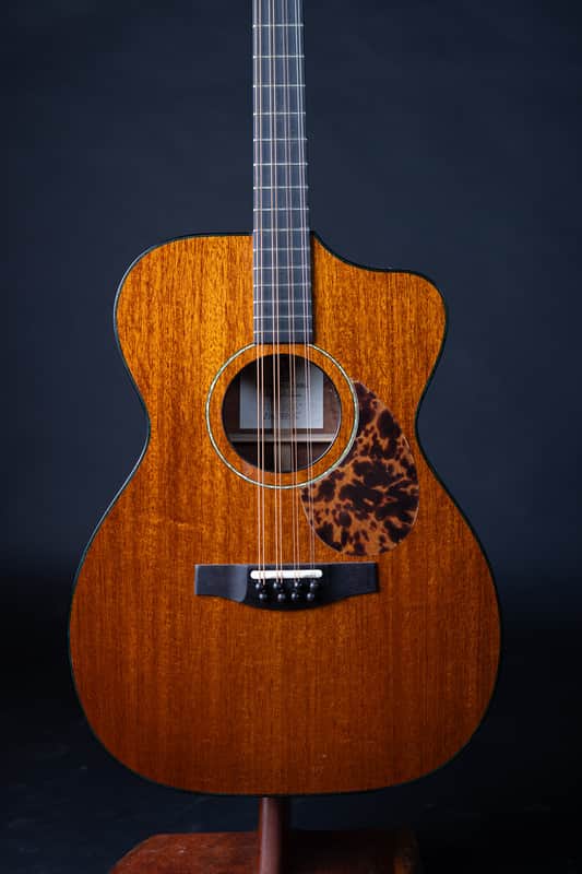 Bayard Guitars Guitar Bouzouki #0319 - Gloss oil varnish image 1