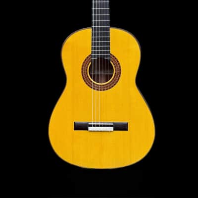 2025 Francisco Navarro (Hijo) SP/PE Flamenco Concert Reyes image 2