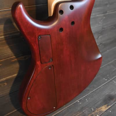 MTD Saratoga 5 f 2015 Kingston USA 5 string Bass w MTD case & papers Tobias - Video Demo image 10
