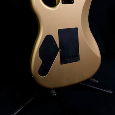 LsL Instruments Saticoy, Newhall X-Ray Tango, XT2, 22 Fret, Satin Gold, Hipshot Trem image 17