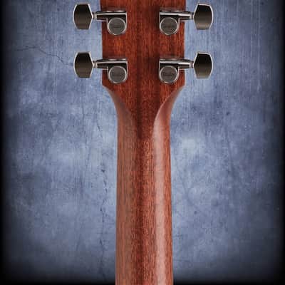 Taylor T5z Classic Sapele/Mahogany image 7