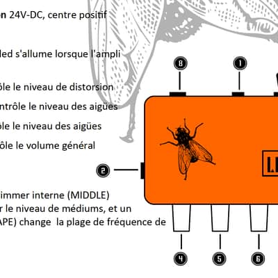 Fly Classic de LEMON Amps image 3