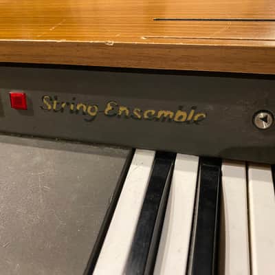 Immagine ARP Solina String Ensemble Polyphonic Analog Synthesizer 1974 - 1979 - Black - 5