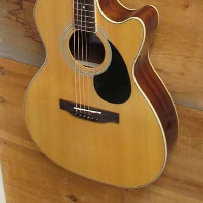 Segovia Acoustic Electric Guitar Cut Away Body W/ Built In Tuner & EQ FC07G-N Natural NEW image 1
