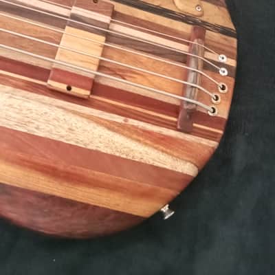 Thompson tribute Bassovarius #2 "Full Rainbow"5 strings bass image 15