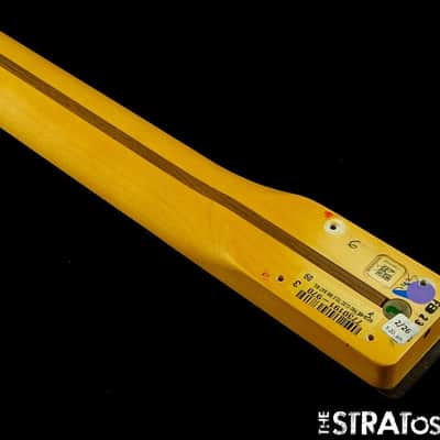 Fender American Professional Classic Tele NECK Bild 5