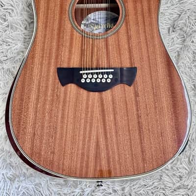 TAGIMA SIERRENA XII EQ NT ACOU-ELEC 12 STRING GUITAR NATURAL GLOSS - B Stock image 2