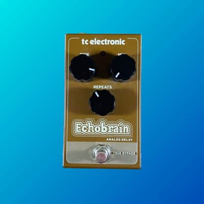 TC Electronic Echobrain Analog Delay Pedal | Reverb