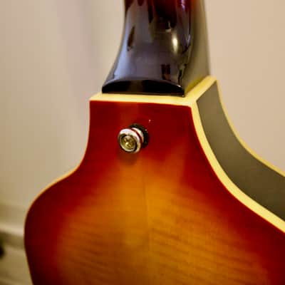 Epiphone Viola Bass with Okume Fretboard 2021 - Present - Vintage Sunburst image 6