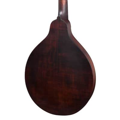 Eastman MD304 A-Style Oval Hole Mandolin image 10