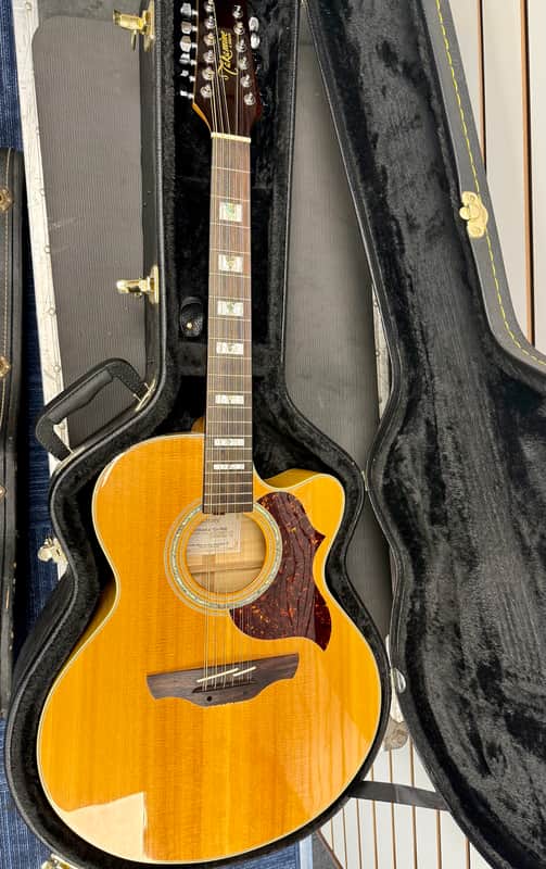 Takamine EG523 SC-12 Natural 12 String Acoustic Electric with Case - Pre Owned image 1