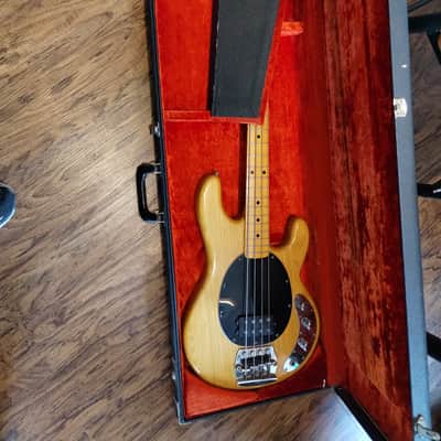 Music Man StingRay with Maple Fretboard 1978 - Natural image 8