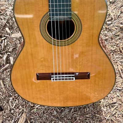 Yamaha GC-41C Grand Concert Classical Acoustic Guitar image 1