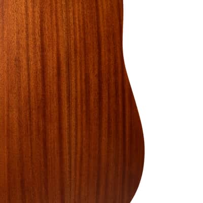 Gold Tone GT-Dread-NA Solid Sitka Spruce Top Mahogany Neck 6-String Acoustic-Electric Guitar w/Gig Bag image 7