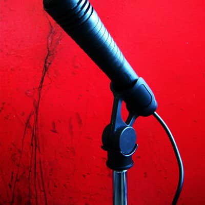 Vintage RARE 1980's AKG D70 / D70ME dynamic cardioid microphone 620 OHMS w accessories DRUMS HORNS # 2 image 6