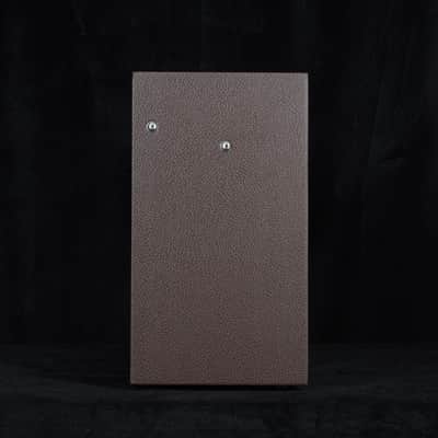Preowned Magnatone Starlite Reverb 10 8W 1x10 Combo - Traditional Brown image 5