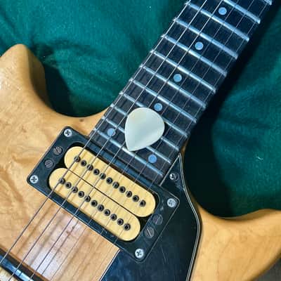 Seashell guitar pick/1.3mm thick, tear drop profile… by BeachSidePicks image 7