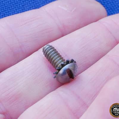 Camco Lugs Mounting Screws 10 Pieces Short image 3