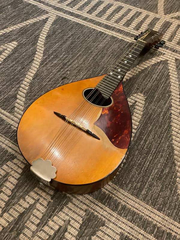Washburn Style E No 2904 1940s image 1