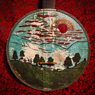 Rare 1920s Washburn Tenor Banjo Style E image 1