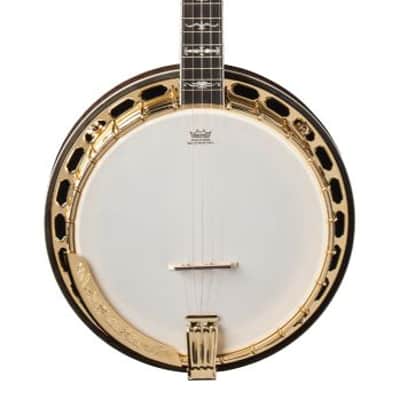 Washburn B17 Americana Series (5 String) Banjo 2020s - Tobacco Sunburst image 4