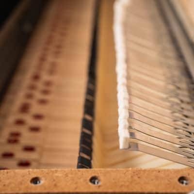 Fender Rhodes 1979 Mark I - Fully Restored/Custom Built image 12